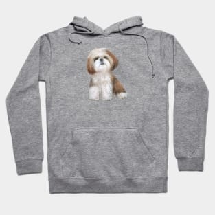 Red and Whihe Shih Tzu - just the dog Hoodie